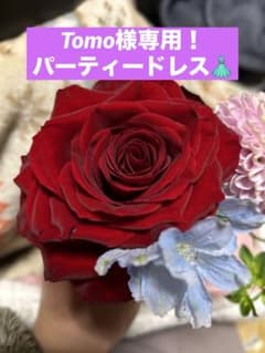 Tomo様専用です！パーティードレスのサムネイル