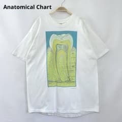 激レア 希少 アナトミカルチャート社 解剖図 歯 プリント 半袖 Tシャツ. 激レア 希少 アナトミカルチャート社 解剖図 歯 プリント 半袖 Tシャツ