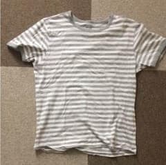 Ｔシャツのサムネイル
