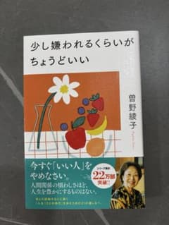 少し嫌われるくらいがちょうどいい 野薔薇子のサムネイル