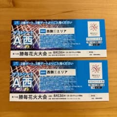 勝毎花火大会2026 ゲストシート西側1エリア2枚 チケット - メルカリ