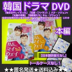 DVD☆サム、マイウェイ~恋の一発逆転!~(全話)☆パク・ソジュン