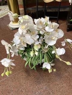 胡蝶蘭 造花8本だち - メルカリ