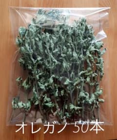 ドライ オレガノ 50本 dry oreganoのサムネイル