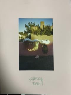 stussy woman ファッションカタログのサムネイル