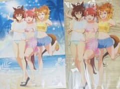 말 딸 신시대의 문 BluRay 구입 특전 아크릴 스탠드 일러스트 보드