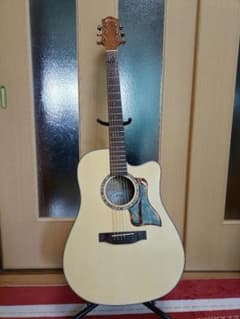 Elvis Guitars Master 1 ６月中の出品値引きしました Elvis Guitars Master 1 6月中の出品値引きしました - メルカリ