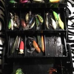 左馬 様 専用のサムネイル