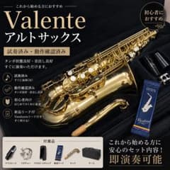 Valente アルトサックス 初心者オススメ 入門用 試奏済 新品リード付き 