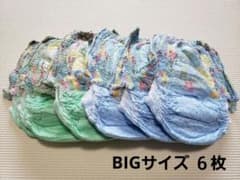 グーン スイミングパンツ 水あそびパンツ BIG 6枚のサムネイル