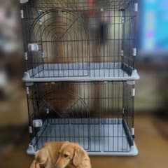 犬用ゲージ　　1セットのみのサムネイル