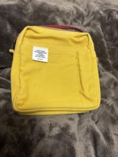 DELFONICS 縦型　バッグインバッグ