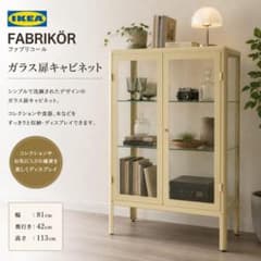 廃盤品 IKEA FABRIKR ガラス扉 キャビネット ショーケース 店舗什器