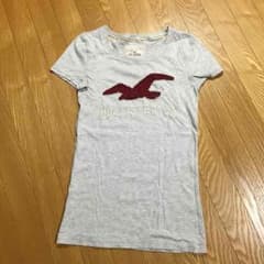 ホリ Tのサムネイル