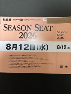 8月12日(水)夏休みナイター!! PayPayドーム駐車券 対ロッテ戦のサムネイル