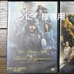 パイレーツ・オブ・カリビアン 最後の海賊 DVDのサムネイル