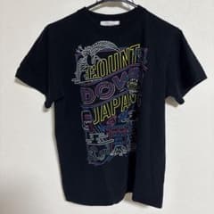 COUNTDOWN JAPAN 18/19 公式Tシャツ S 平成最後 CDJ - メルカリ