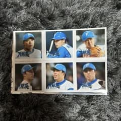 ファイターズ　中島卓也　田中正義　フォトチップのサムネイル