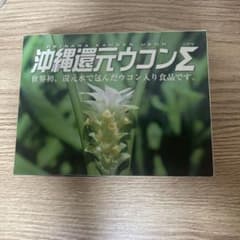 沖縄還元ウコンΣ 450mg × 100粒1箱のサムネイル