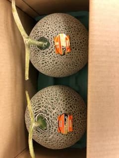 北海道 富良野 メロン 赤肉 ２玉入 秀品のサムネイル