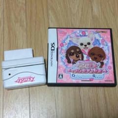 DSソフト ワンタメのサムネイル