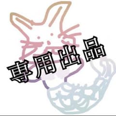 ：    SH様 専用出品のサムネイル