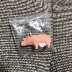 シャクレルプラネット　ブタのサムネイル