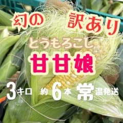 【訳あり】幻のとうもろこし甘甘娘 約3kg 6本前後のサムネイル