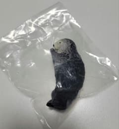 ラッコのメイとキラ　ご挨拶キラちゃんのサムネイル