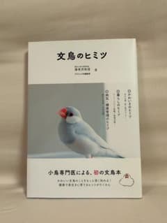 文鳥のヒミツ 海老沢和荘のサムネイル