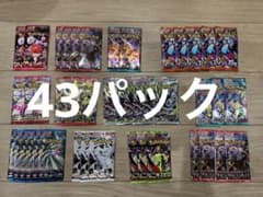ポケモンカードゲーム バラパック 未サーチ 未開封 43パック まとめ