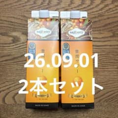 2026.09 豊潤サジー 1000ml 2本セット 新品未開封 サジージュース