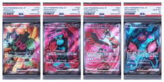 【PSA10 ④連番】イイネイヌ、マシマシラ、キチキギス、モモワロウex_SR PSA10 ④連番】イイネイヌ、マシマシラ、キチキギス、モモワロウex_SR