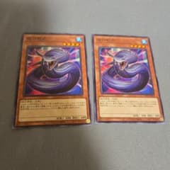 遊戯王 夜刀蛇巳 2枚セットのサムネイル