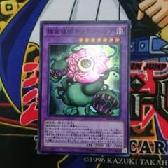 キメラフレシアのサムネイル