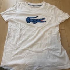 LACOSTE ホワイト Tシャツのサムネイル
