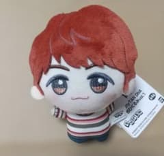 BTS 치비구루미 호소쿠 J-HOPE TinyTAN DNA