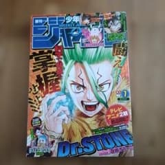 週刊少年ジャンプ 2021年7号 Dr.STONE巻頭カラー - メルカリ