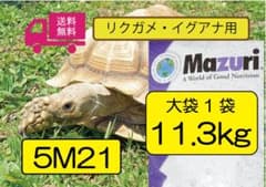 【マズリ】トータスダイエット5Ｍ21 リクガメ用ペレット mazuri 大袋 Mazuri（マズリ） トータス・ダイエット 560g 5M21−S
