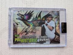 2シリ【チェイス・バーンズ】直筆サインカード Chase Burns - メルカリ