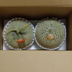 庄内砂丘メロン赤肉と青肉の2玉セットのサムネイル
