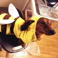 yuka様専用のサムネイル