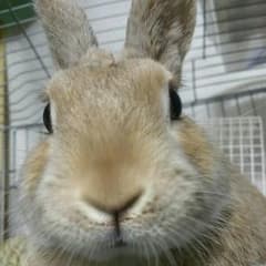 Ayaka様専用のサムネイル