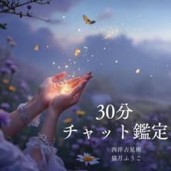 30分チャット鑑定｜星を通して“今の答え”を一緒に見つけましょう 西洋占星術のサムネイル