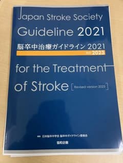 脳卒中治療ガイドライン2021〔改訂2023〕のサムネイル