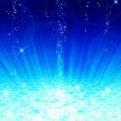 新鮮 様☆ミ専用のサムネイル
