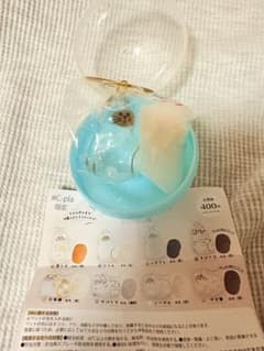 C-pla 限定 うちの子のけだまだま　シャムのサムネイル
