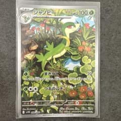 m99338488359_1.jpg?1750834639