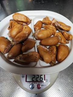 ドリアンの種　１００グラム超のサムネイル