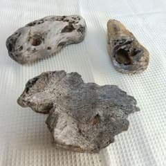 流木 ３点　約20cm穴あり 　自然な形状 ハンドメイド素材　工作素材のサムネイル